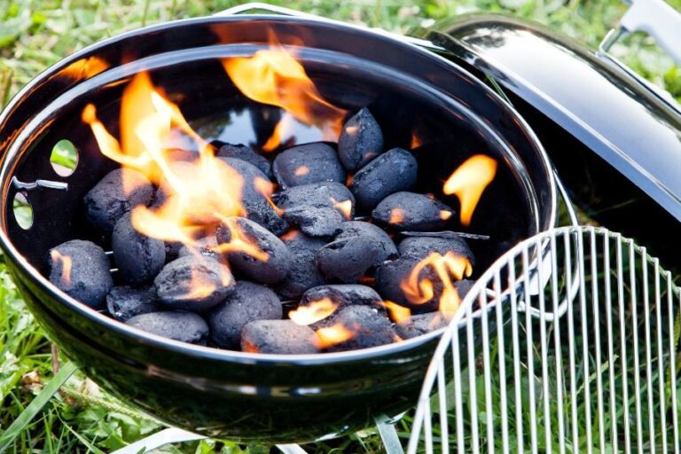 10 Safe and Effective Alternatives to Lighter Fluid for Outdoor Grilling